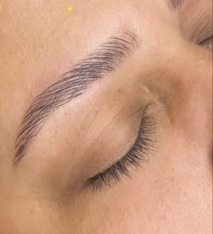 Brow Lamination — Sobrancelhas e Cílios em Telêmaco Borba, PR